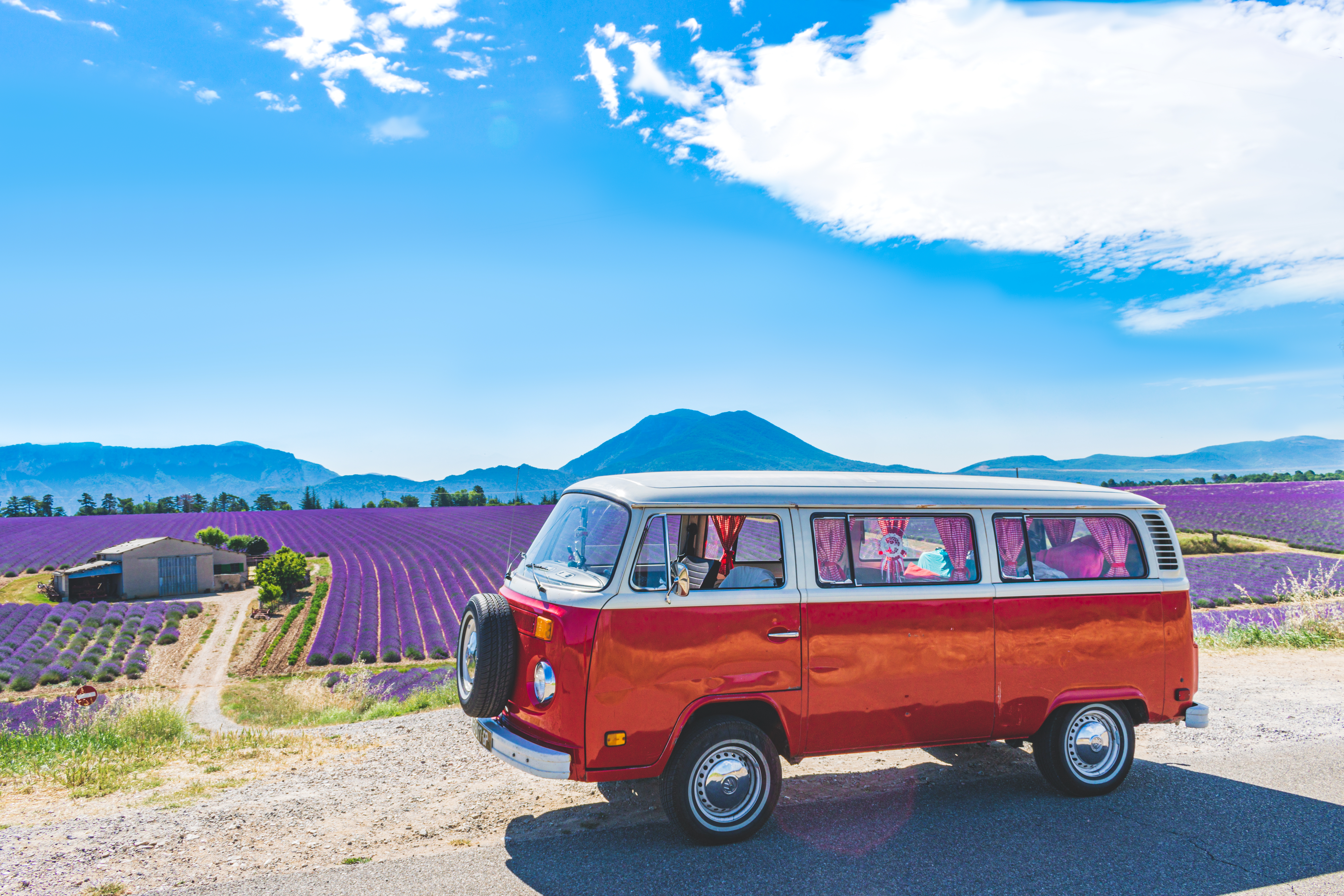 Chianti dans la lavande