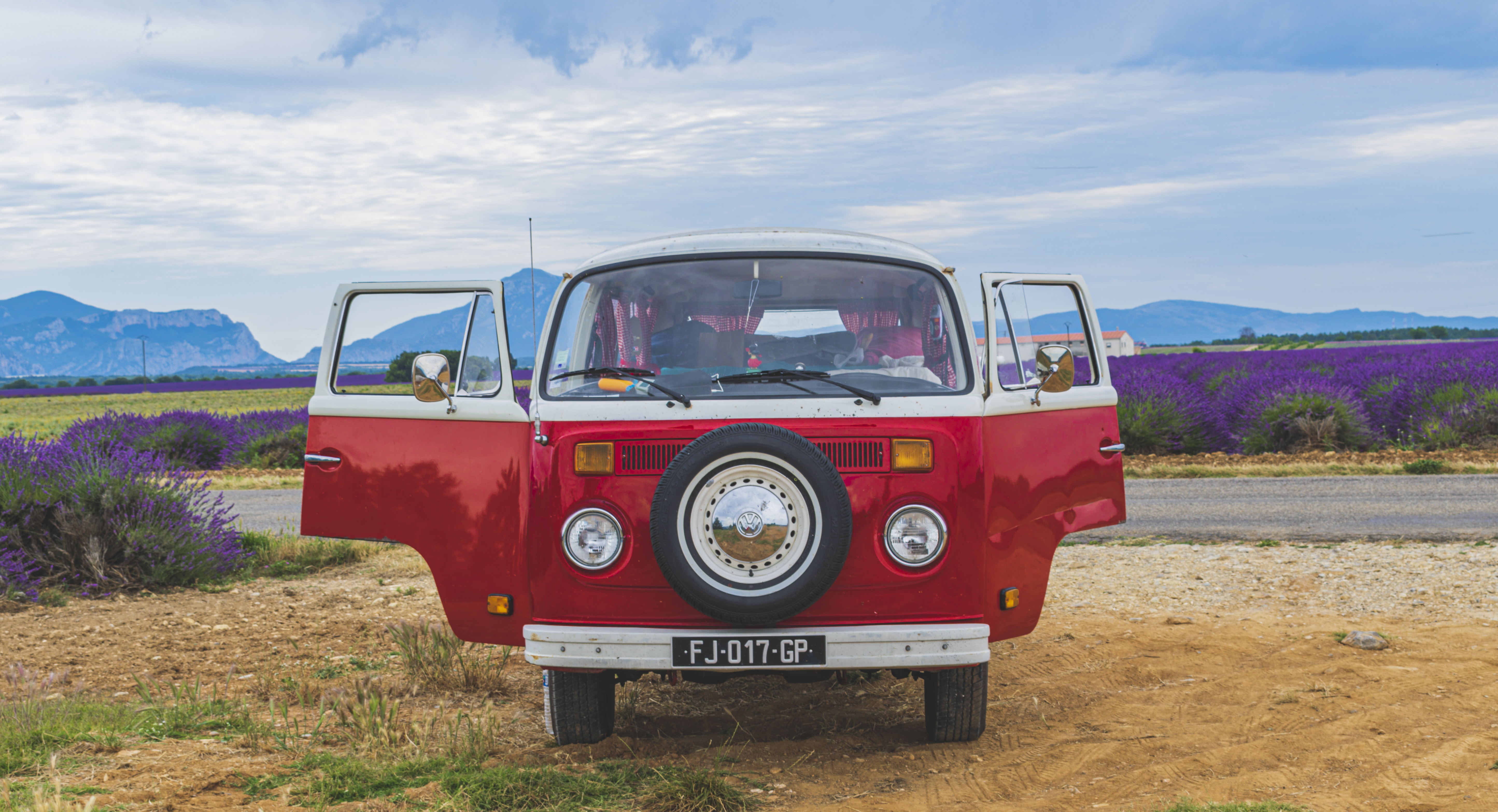 Chianti dans la lavande