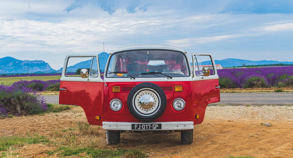 Chianti dans la lavande